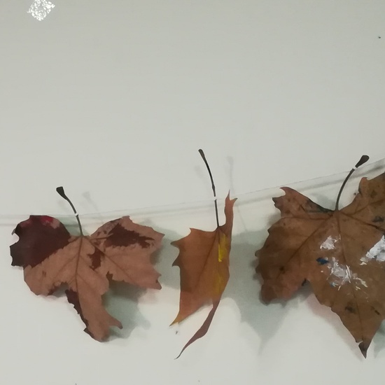 Día 05 de noviembre 33