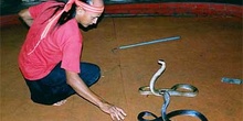 Encantador de serpientes, Tailandia