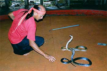 Encantador de serpientes, Tailandia