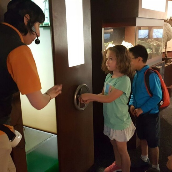 Visita a la exposición El Bosque. 1º 2º Primaria. CEIP Pinocho. 2016/17 32