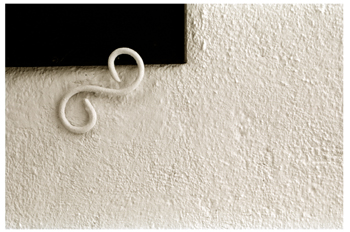 Composición artística