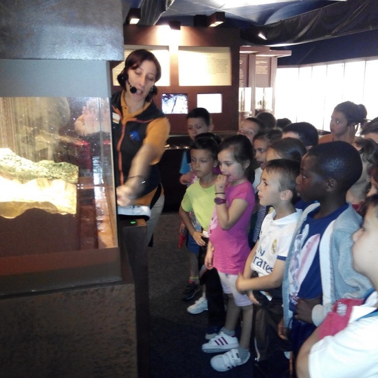 Visita a la exposición El Bosque. 1º 2º Primaria. CEIP Pinocho. 2016/17 17