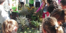 5º A en el huerto_CEIP FDLR_Las Rozas 4