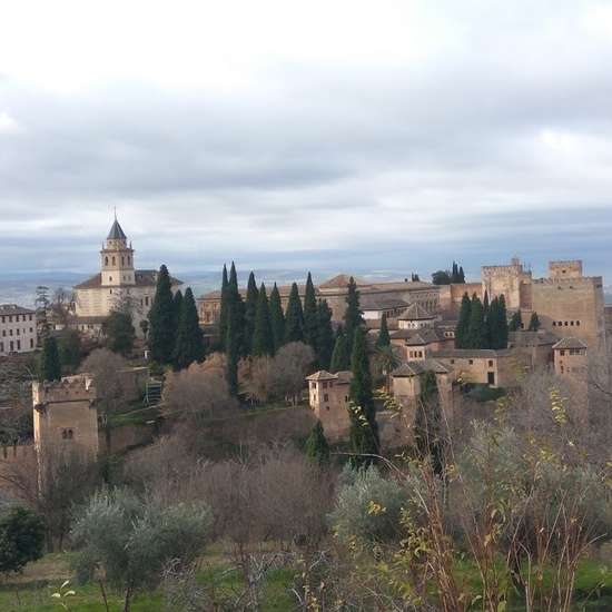 Viaje a Granada y Córdoba 2019 33