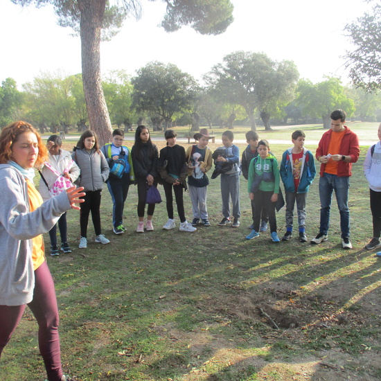 EN MÚLTIPLE 6º - 2019 19