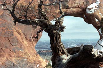 Gran Cañón del Colorado, Arizona