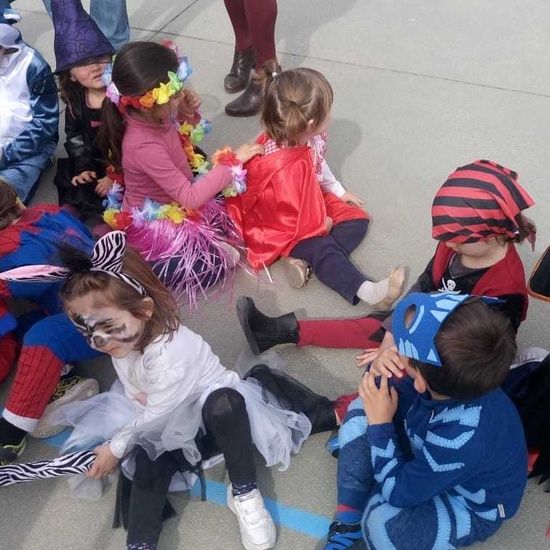 Carnaval 2019_2_CEIP Fernando de los Ríos_Las Rozas 8