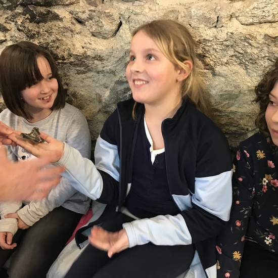 2020_02_27_3º visita Insectpark (5)_CEIP FDLR_Las Rozas 8