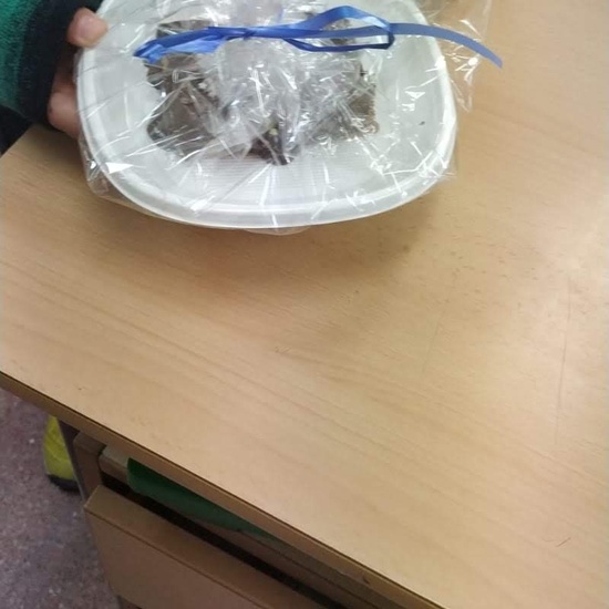 Talleres de 1º y 2º de Primaria. Semana Cultural 2