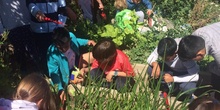 2019_05_Los alumnos de 4º en el Huerto_CEIP FDLR_Las Rozas 16