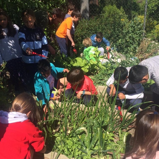2019_05_Los alumnos de 4º en el Huerto_CEIP FDLR_Las Rozas 16
