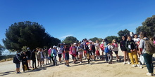 Camino se Santiago 5º EP