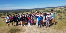 Camino se Santiago 5º EP