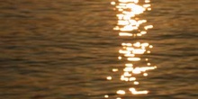 Reflejo solar sobre el mar