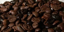 Granos de café