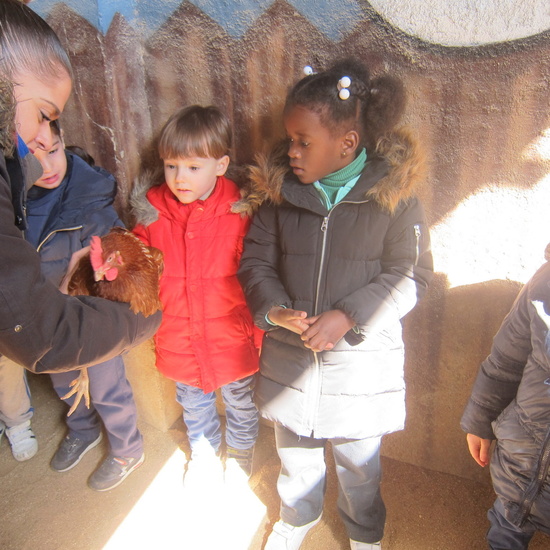 Granja Escuela Educación Infantil Curso 2017-18_2 12