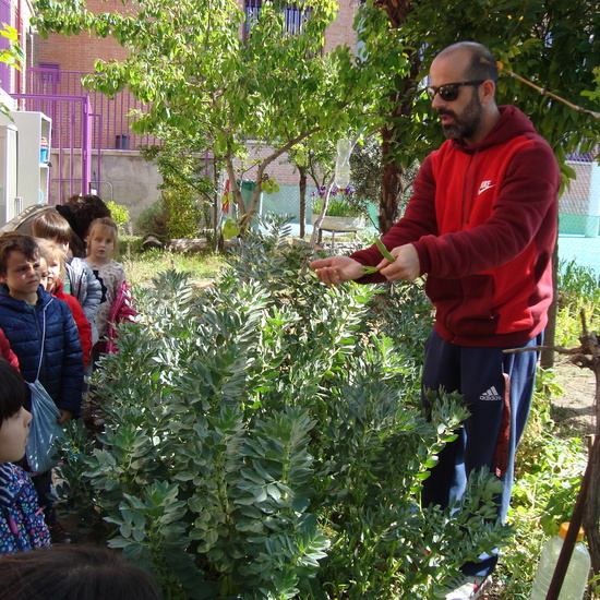 VISITA DE ALUMNOS DE 5 AÑOS AL HUERTO.  5