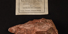 IES_SANISIDRO_MUSEO_Paleologia_016