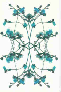 Composición en tonos azules