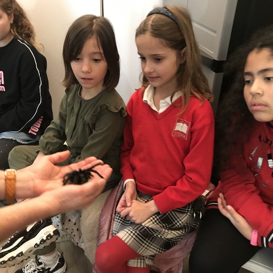 2020_02_27_3º visita Insectpark (5)_CEIP FDLR_Las Rozas 15