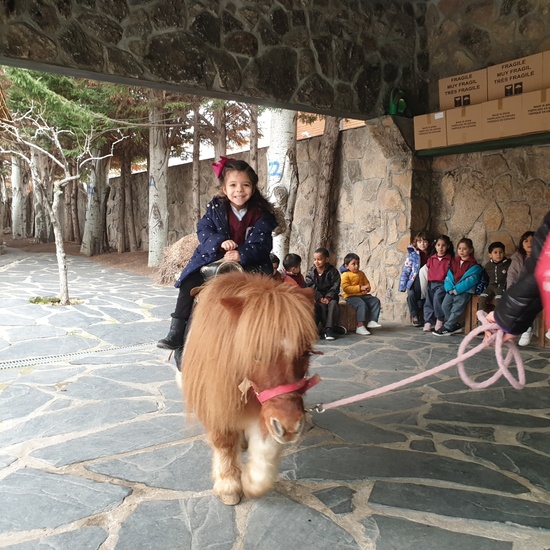 Excursión a la granja (Infantil) 6