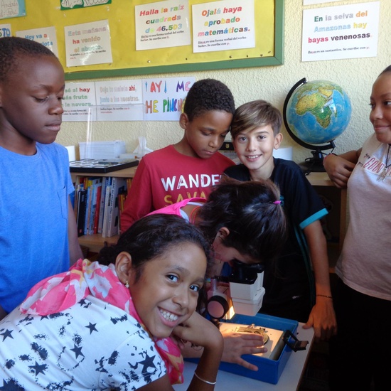 NOS GUSTA INVESTIGAR 10