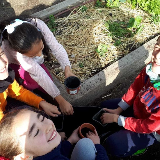 2020_02_13_4º planta en el huerto_CEIP FDLR_Las Rozas 6