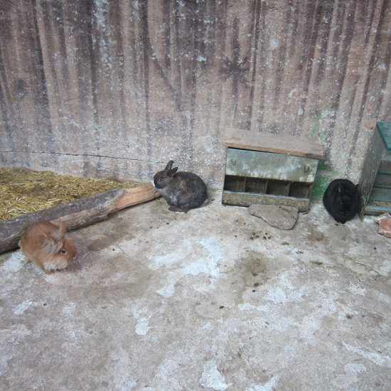 Granja Escuela Educación Infantil Curso 2017-18 41