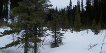 Lago Louise, Parque Nacional Banff