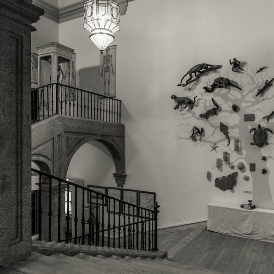 IES_SANISIDRO_MUSEO_038