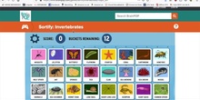 Sortify Invertebrates Game