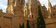 Catedral Vieja, Salamanca, Castilla y León