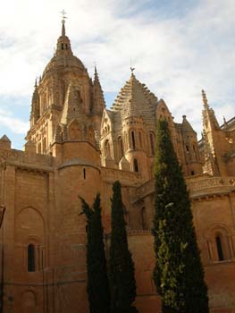 Catedral Vieja, Salamanca, Castilla y León