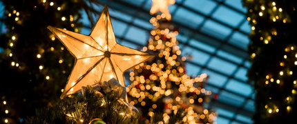 Agenda cultural: Navidad 2025