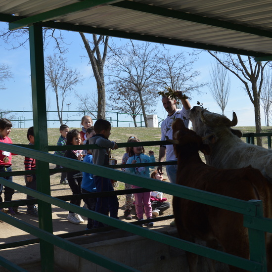 GRANJA ESCUELA ALBITANA 2018 16