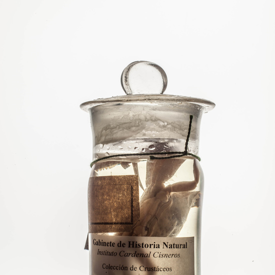 IES_CARDENALCISNEROS_CIENCIASNATURALES_085