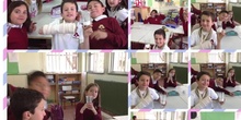 PRIMARIA 4º - PLANTS - NATURAL SCIENCIE - ACTIVIDADES