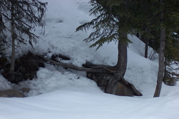 Nieve, Lago Louise, Parque Nacional Banff