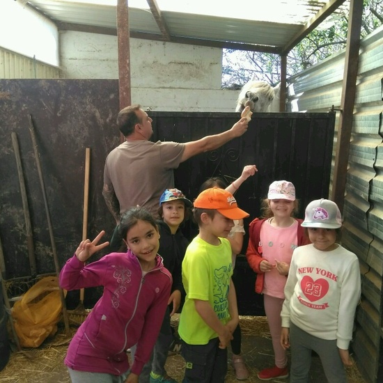 SALIDA A NUESTRO ENTORNO 31