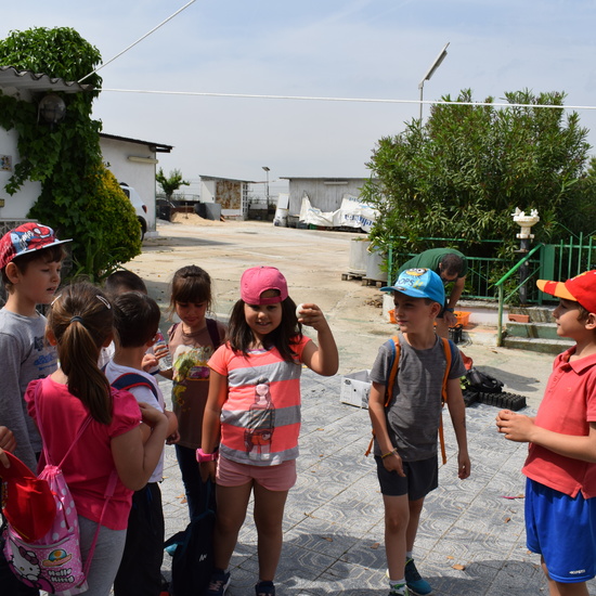 Siembra Huerta Balta 1 5 años 2018 11
