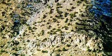 Ampliación de árboles en la ladera nevada del Monte Toubkal, Mar