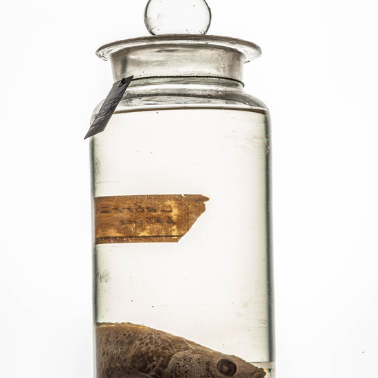 IES_CARDENALCISNEROS_CIENCIASNATURALES_098