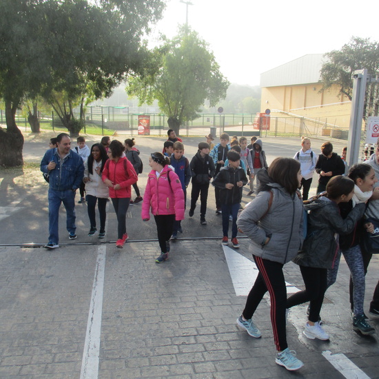 EN MÚLTIPLE 6º - 2019 5