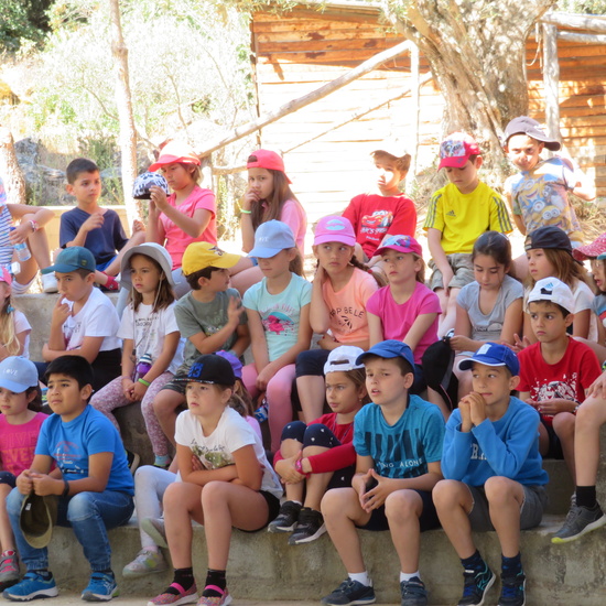 Granja Nuestra Tierra martes 11 3