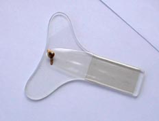 Soporte de cinta métrica para la entrepierna