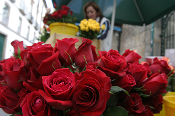 Puesto de rosas en Santiago de Compostela, La Coruña, Galicia
