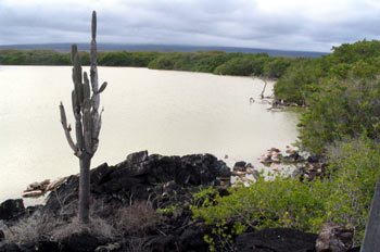 Lagunas de Villamil en la isla de Isla Isabela, Ecuador