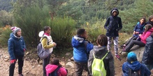 Excursión de tres días a Cercedilla 5º y 6º 21