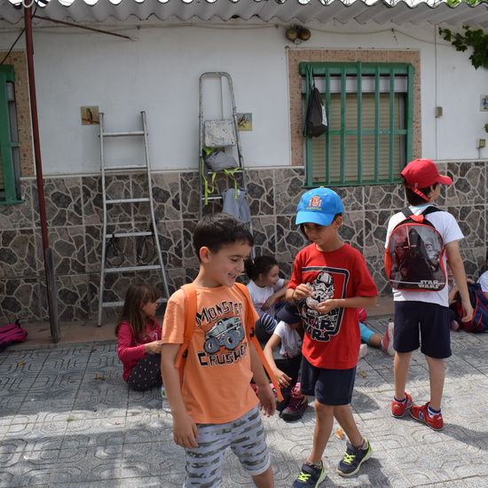 Siembra Huerta Balta 1 5 años 2018 2