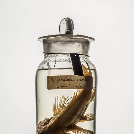 IES_CARDENALCISNEROS_CIENCIASNATURALES_112